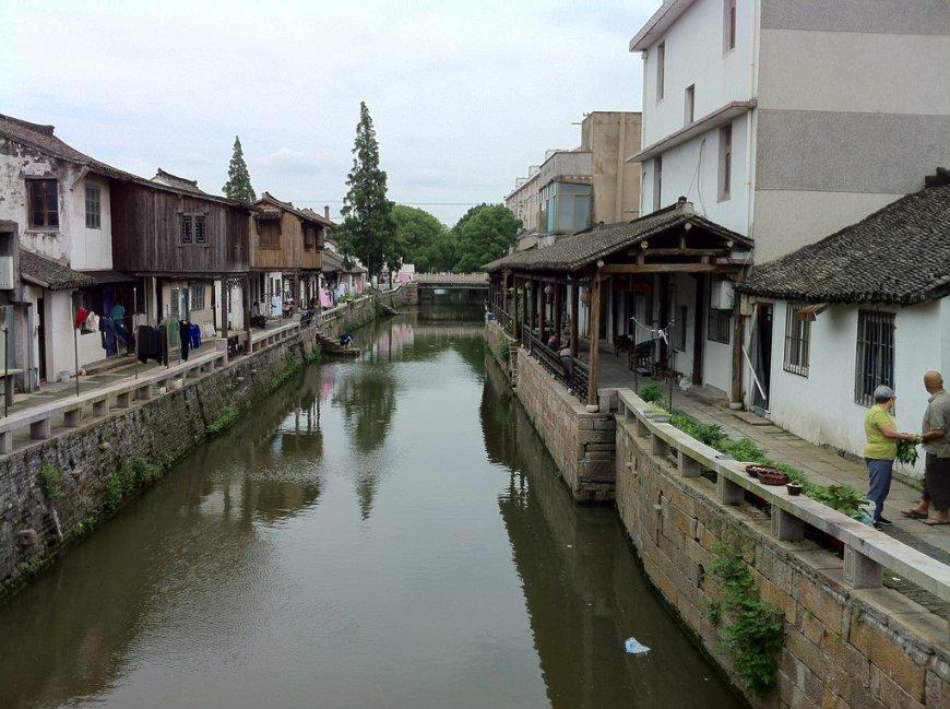 寻找火鸡